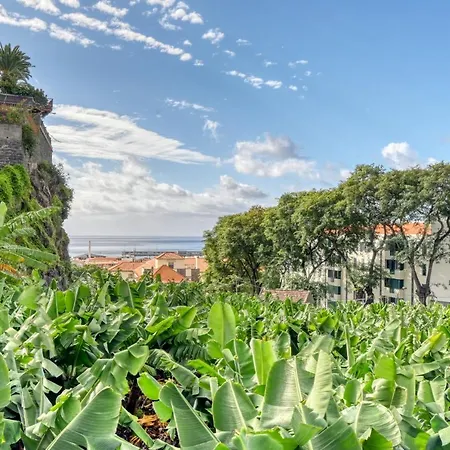 Rosa, A In Madeira *