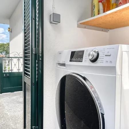 Semesterbostad Rosa, A In Madeira Funchal (Madeira)