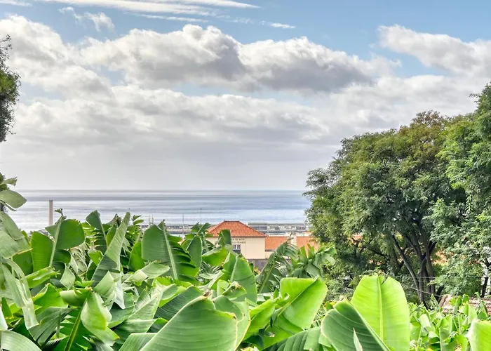 Rosa, A In Madeira Prázdninový dům