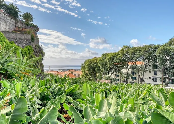 Rosa, A In Madeira *