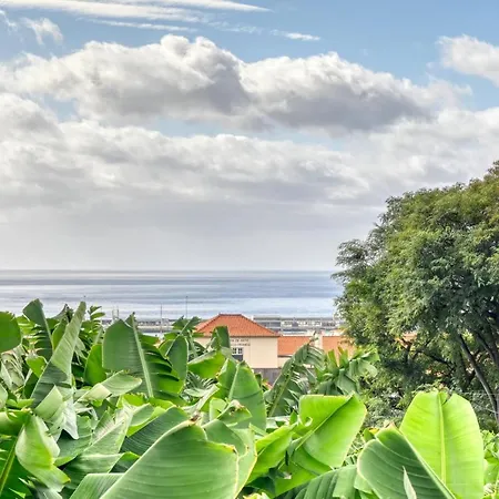 Rosa, A In Madeira Vakantiehuis