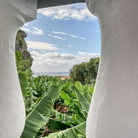 Vakantiehuis Rosa, A In Madeira